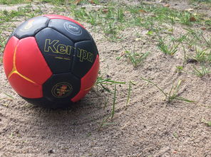 leyu乐鱼官网登录入口-奥预赛中国女足战胜 球员状态回暖明显,中国女足奥运会预选赛比分